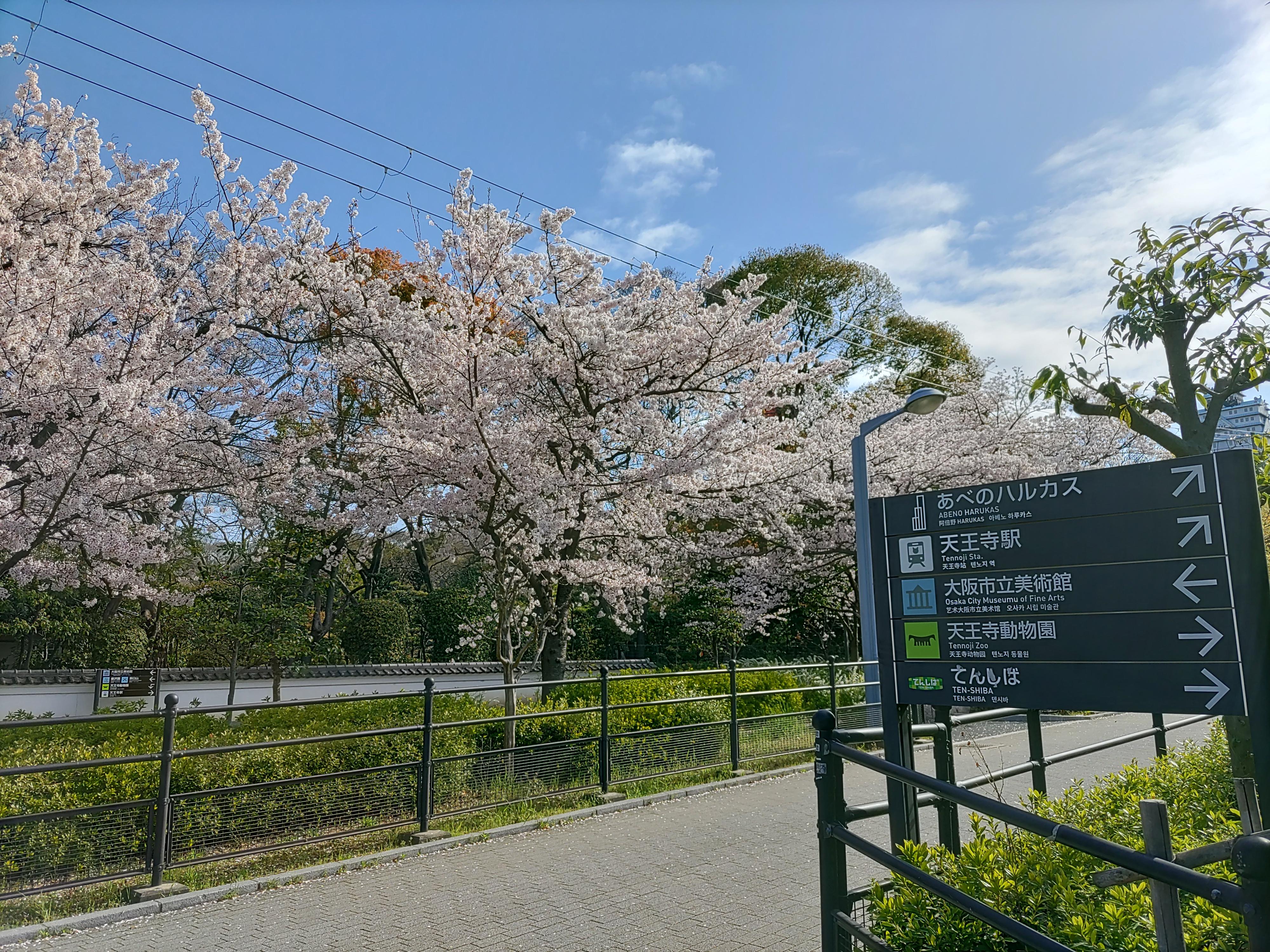 โรงแรม Joytel Shinsekai 4*